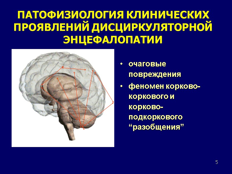 5 ПАТОФИЗИОЛОГИЯ КЛИНИЧЕСКИХ ПРОЯВЛЕНИЙ ДИСЦИРКУЛЯТОРНОЙ ЭНЦЕФАЛОПАТИИ очаговые повреждения феномен корково-коркового и корково-подкоркового “разобщения”